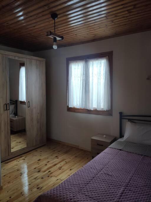 Politis' Wooden House Apartment Vasiliki  Luaran gambar
