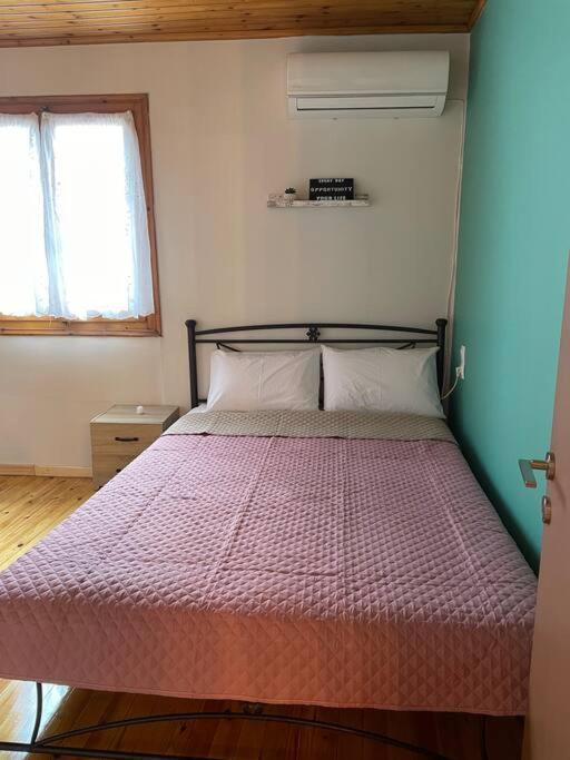 Politis' Wooden House Apartment Vasiliki  Luaran gambar