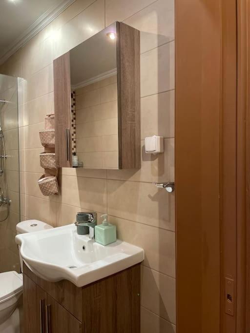 Politis' Wooden House Apartment Vasiliki  Luaran gambar
